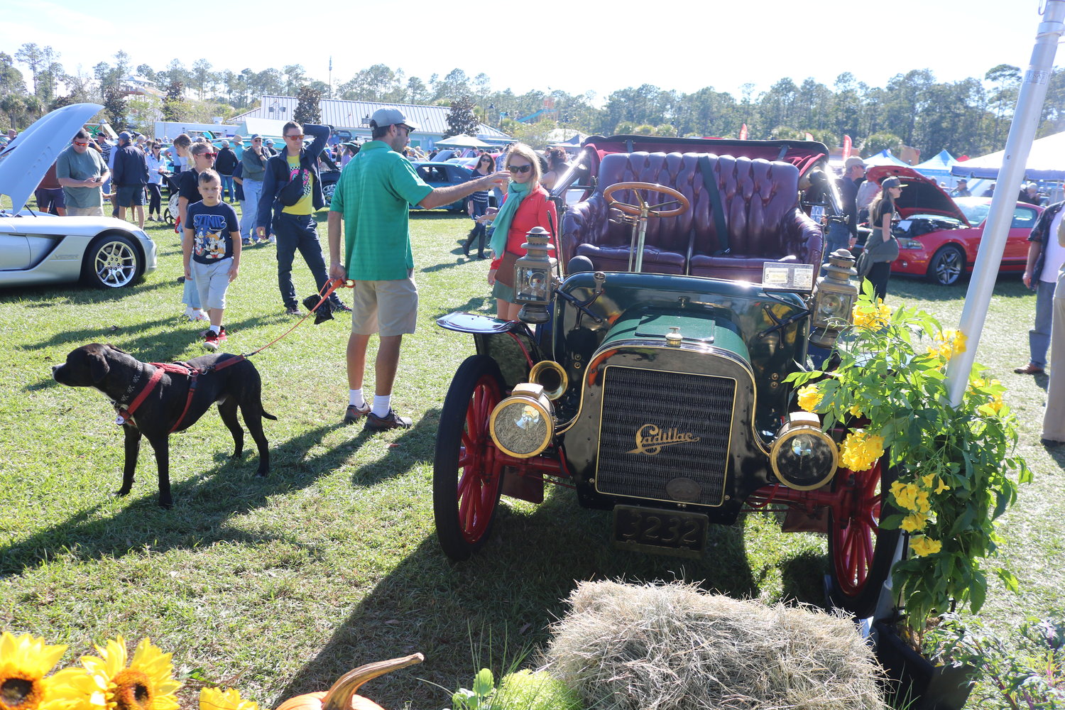 A wide range of classic and collector cars were at the 2021 Ponte Vedra Auto Show.